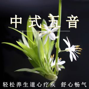 亚洲sm网站在线
