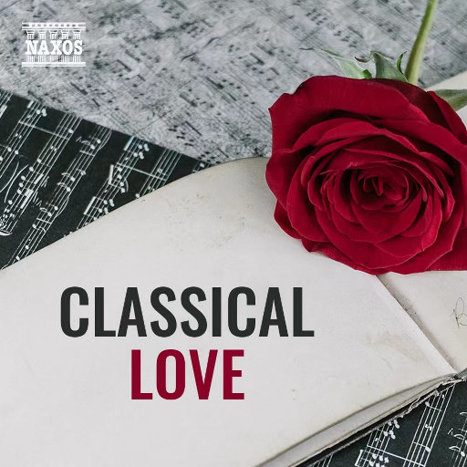 亚洲sm网站在线
